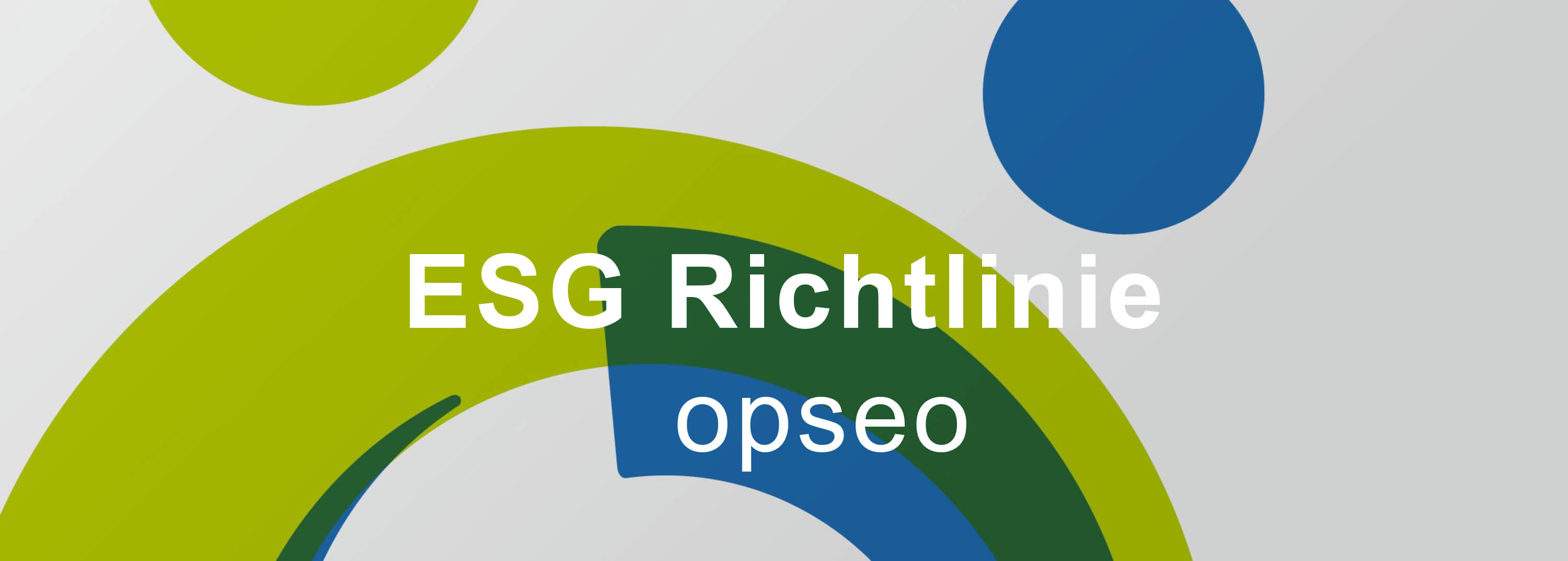 Opseo ESG Policies DE version1 small